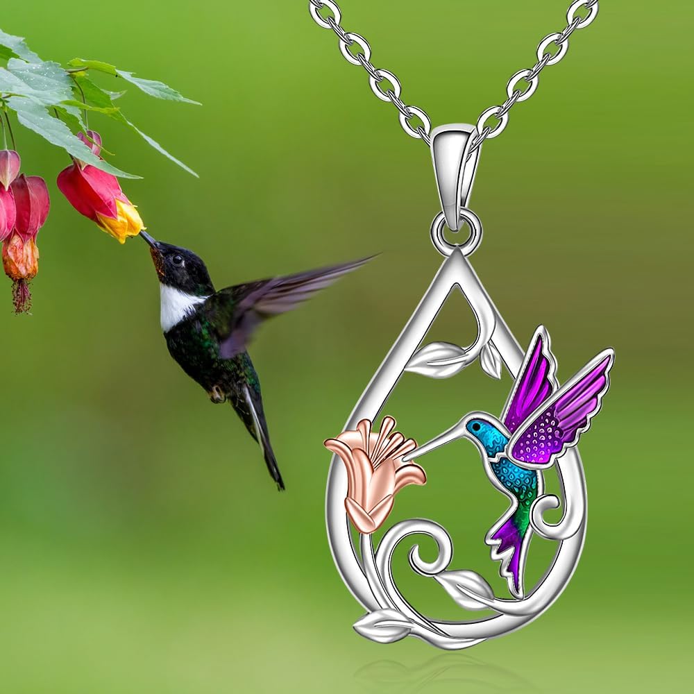 Hummingbird Necklace for Women with Bonus Earrings