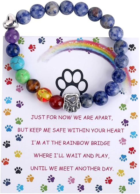 Rainbow Bridge Memorial Bracelet — 7 Chakra Bead Gift for Pet Loss